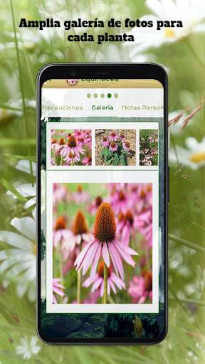 Plantas Medicinales y Remedios screenshot 8