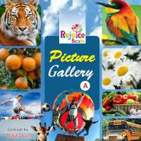 Picture Gallery A icon