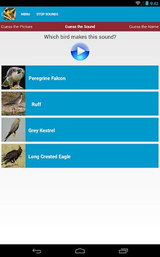 African Birds Sounds Free screenshot 13