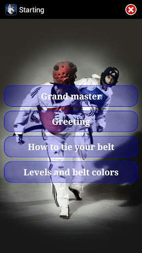 Taekwondo WTF screenshot 3