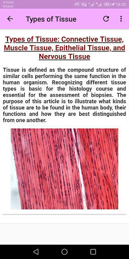Human Histology screenshot 2