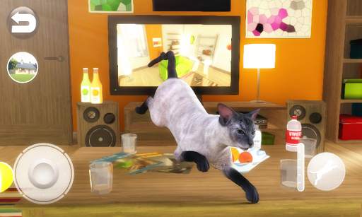 Talking Blue Siamese Cat screenshot 2