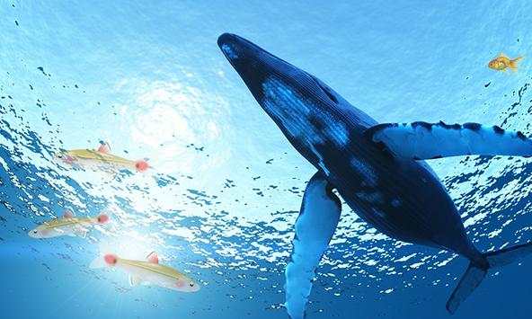 Angry Blue Whale Simulator screenshot 1