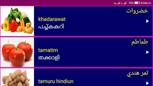 Learn Arabic From Malayalam screenshot 14