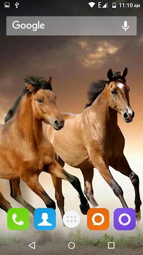 Horse Hd Wallpaper screenshot 2