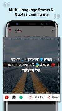 VidJoy screenshot 1