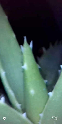 Teslong HD Camera screenshot 3