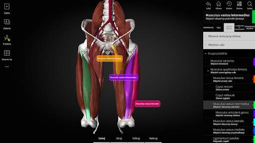 Anatomyka - Anatomia 3D screenshot 10