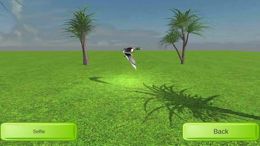 3D Drawing Birds स्क्रीनशॉट 4