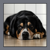 Dog Puzzles Extreme! 3 icon