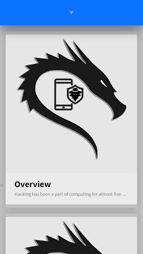 Learn Ethical Hacking Course Offline screenshot 2