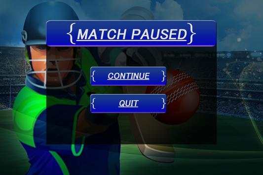 Premier League Cricket Craze screenshot 2