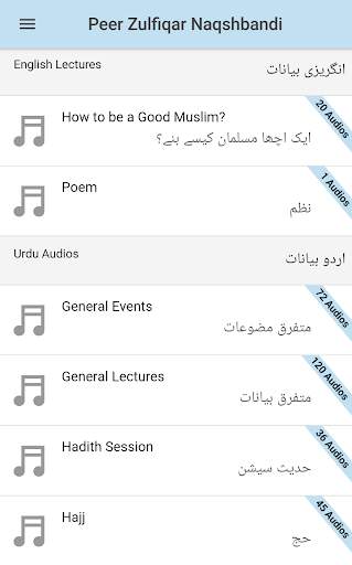 Peer Zulfiqar Ahmad Engilsh and Urdu Audio Lecture screenshot 3