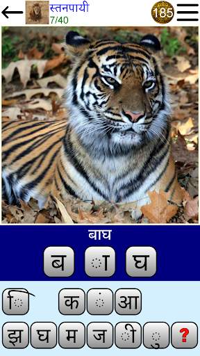 तस्वीर प्रश्नोत्तरी स्क्रीनशॉट 1