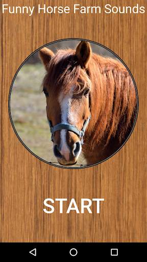 Funny Horse Farm Sounds screenshot 1