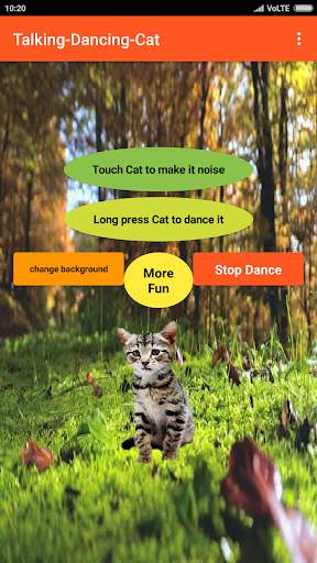 Talking Cat-Animal-Dance app screenshot 4