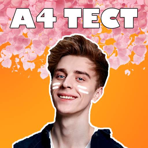 A4 - Тест 1.66.3