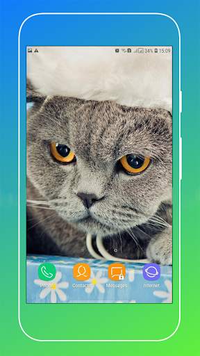 Cat Wallpaper screenshot 12