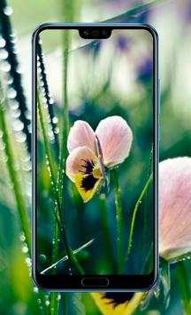 4K Wallpaper Flower 13 تصوير الشاشة