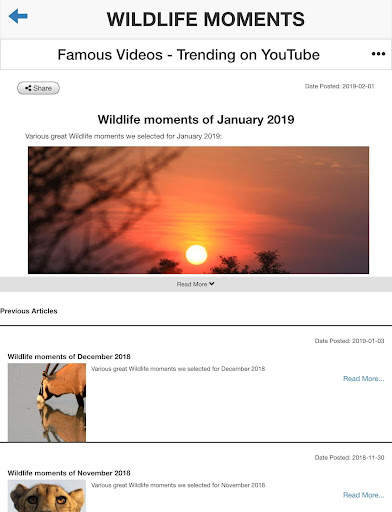 Leopard.tv Wildlife Magazine screenshot 6