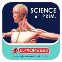 El-Moasser The locomotory System 6-Prim