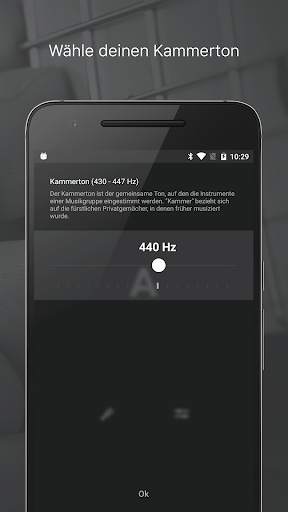 Stimmgerät screenshot 5