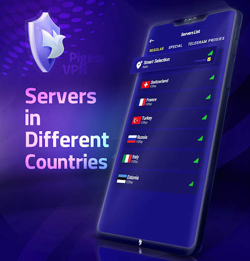Pigeon VPN screenshot 5