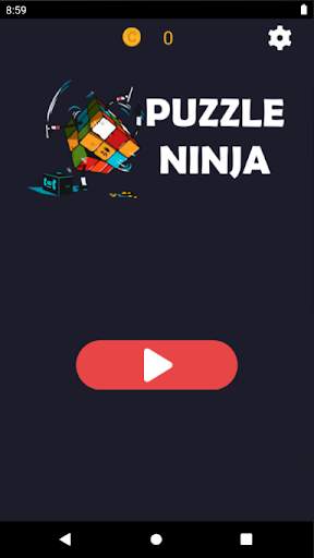 Puzzle Ninja screenshot 1