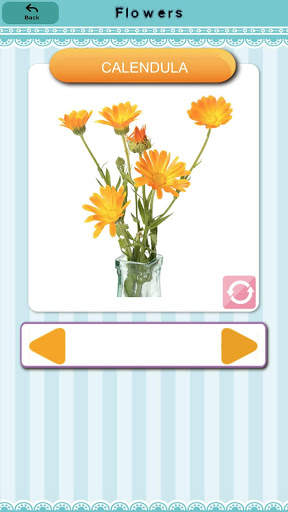 English FlashCard Kids скриншот 6