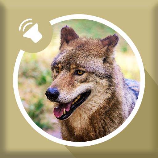 Wolf Sounds - Wolves Howling Ringtone 1.5