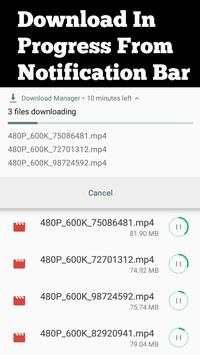 Flash: Browser and video downloader screenshot 5