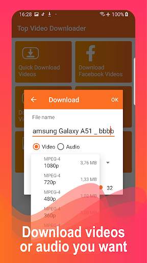 Top video downloader screenshot 2