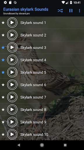 Skylark Bird Sounds ~ Sboard.pro screenshot 4