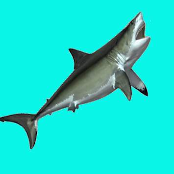 SHARK EATING SHARK-GAME FREE screenshot 1