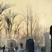 Zombie Live Wallpaper 1.0