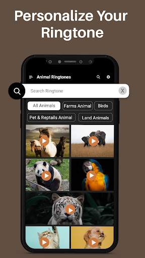 Animal Ringtones & Bird Sounds screenshot 5
