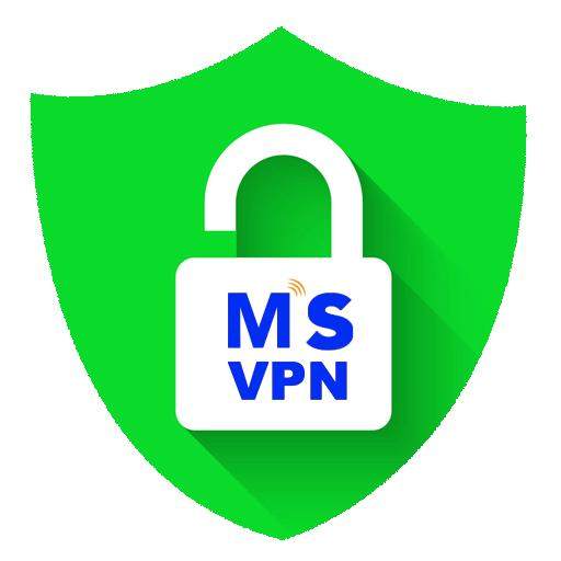 MS VPN 1.01