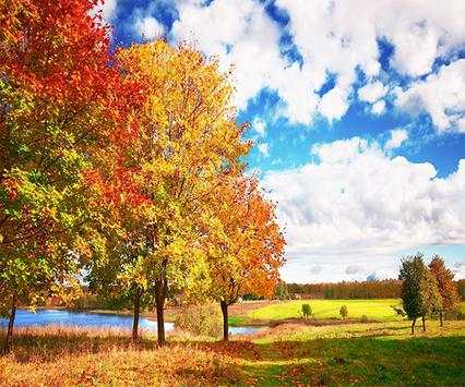 Awesome Land Live Wallpaper screenshot 2