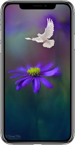 HD Oneplus 8 Wallpaper screenshot 6