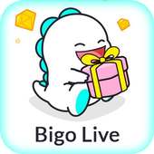 Guide for Bigo Lite
