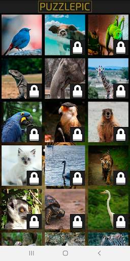 Puzzle Pic - Animal Edition screenshot 2