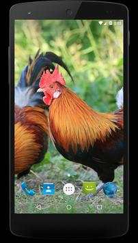 Red junglefowl Wallpapers screenshot 1