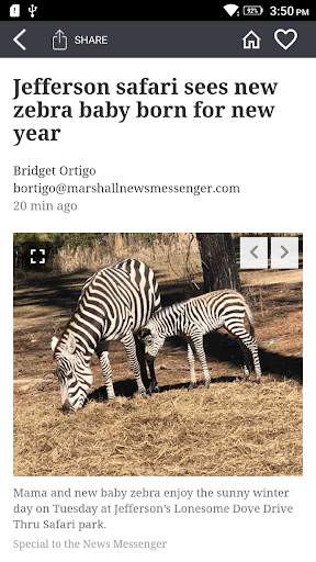 Marshall News Messenger screenshot 4