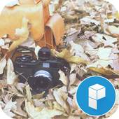 My Picture Story Theme 1.0