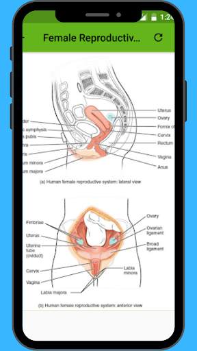 Anatomy and Physiology App 2 تصوير الشاشة