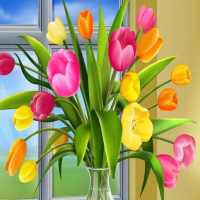 Wallpaper World