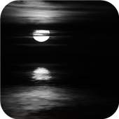 Dark Moonlight.Black wallpaper 1.0