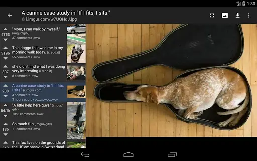 rif is fun for Reddit screenshot 8