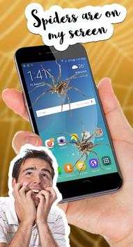 Spider on Screen Funny Prank screenshot 2