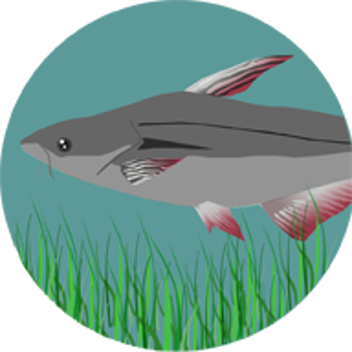 InvBasa UN icon